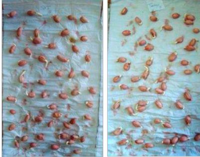 investigacion_fma